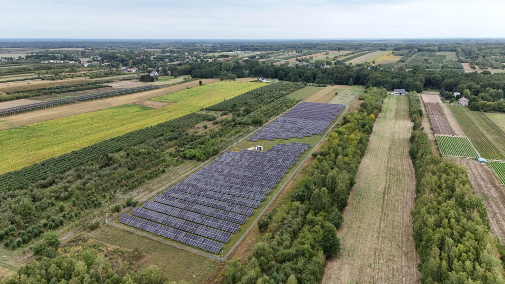 Farma Fotowoltaiczna Wola Pękoszewska, Wola Pękoszewska