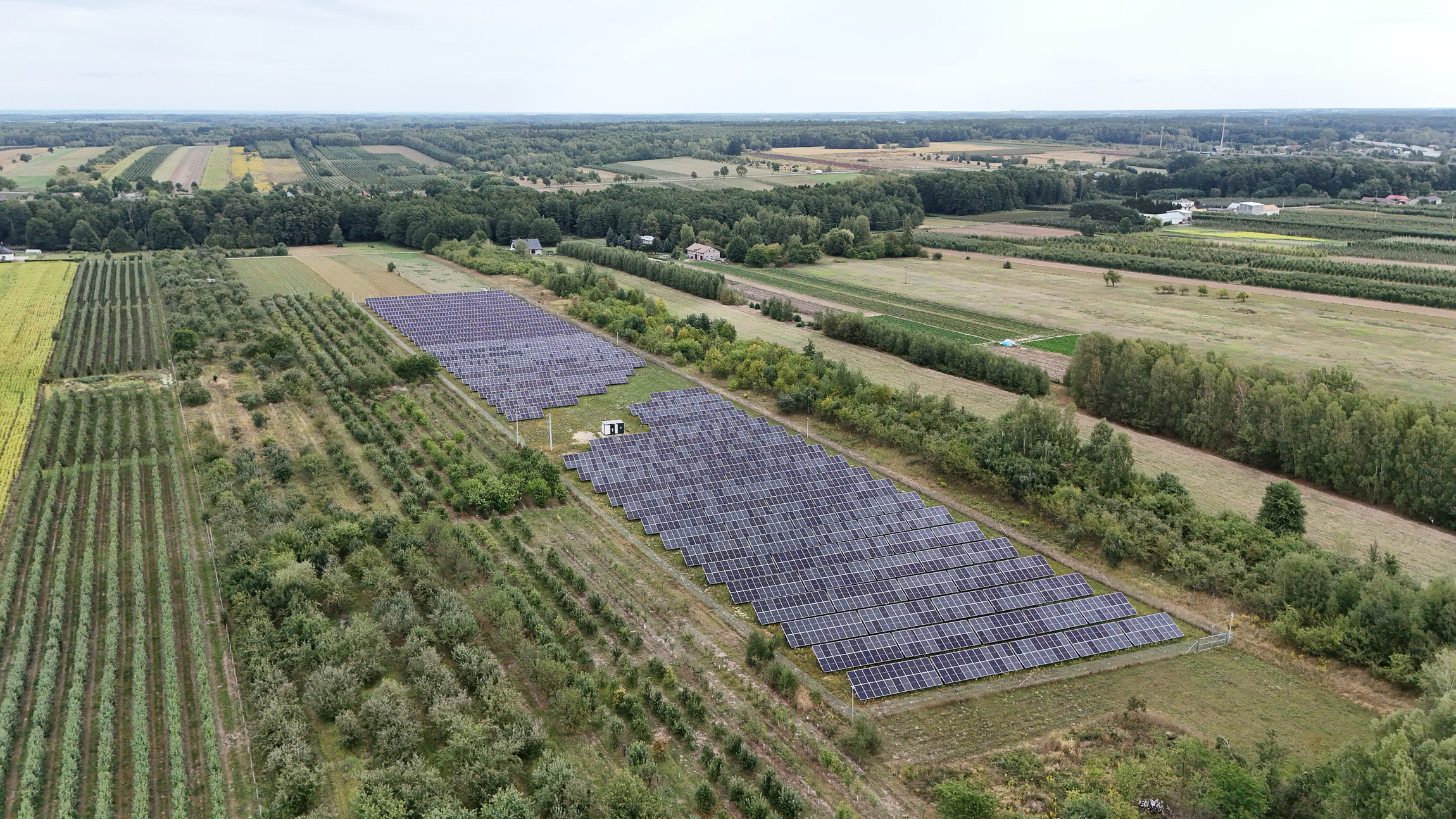 Farma Fotowoltaiczna Wola Pękoszewska