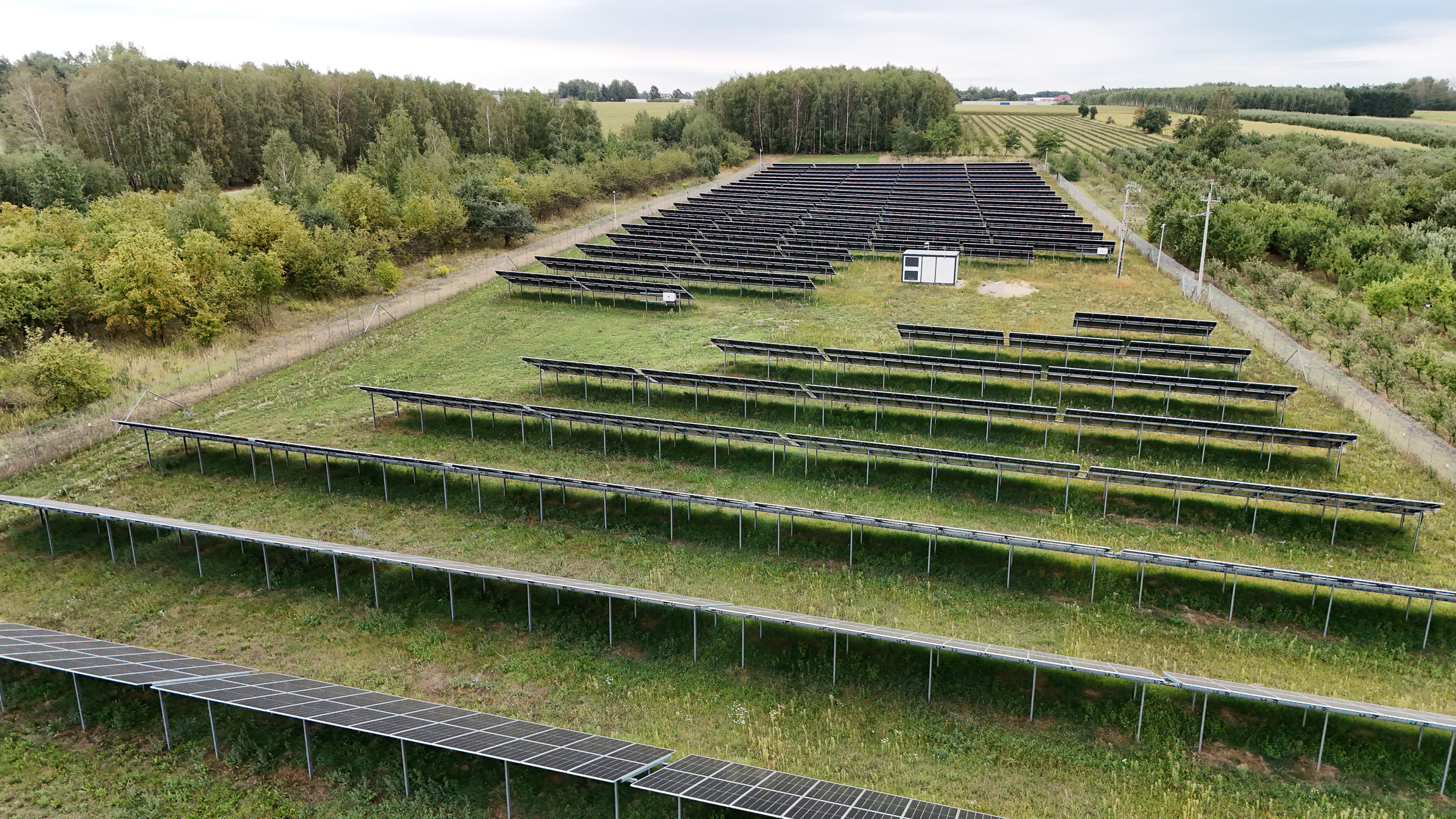 Farma Fotowoltaiczna Wola Pękoszewska