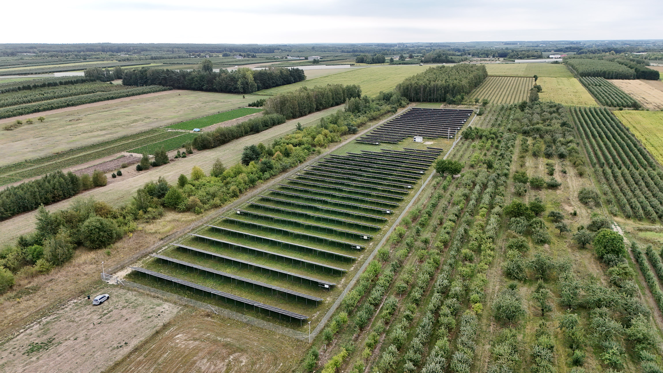 Farma Fotowoltaiczna Wola Pękoszewska
