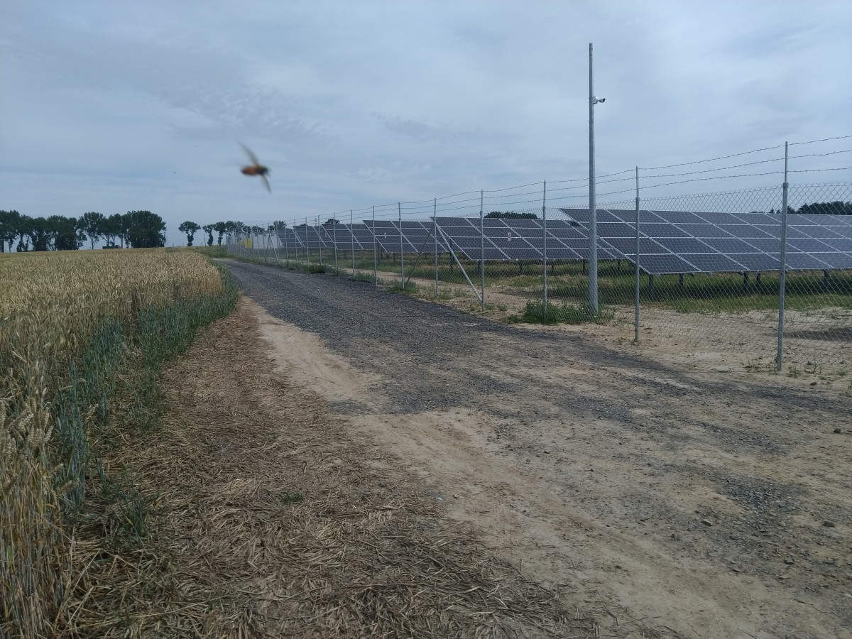 Elektrownia fotowoltaiczna Wysocko 11