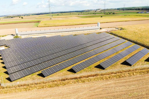 Farma Fotowoltaiczna Koziki SOL, Koziki