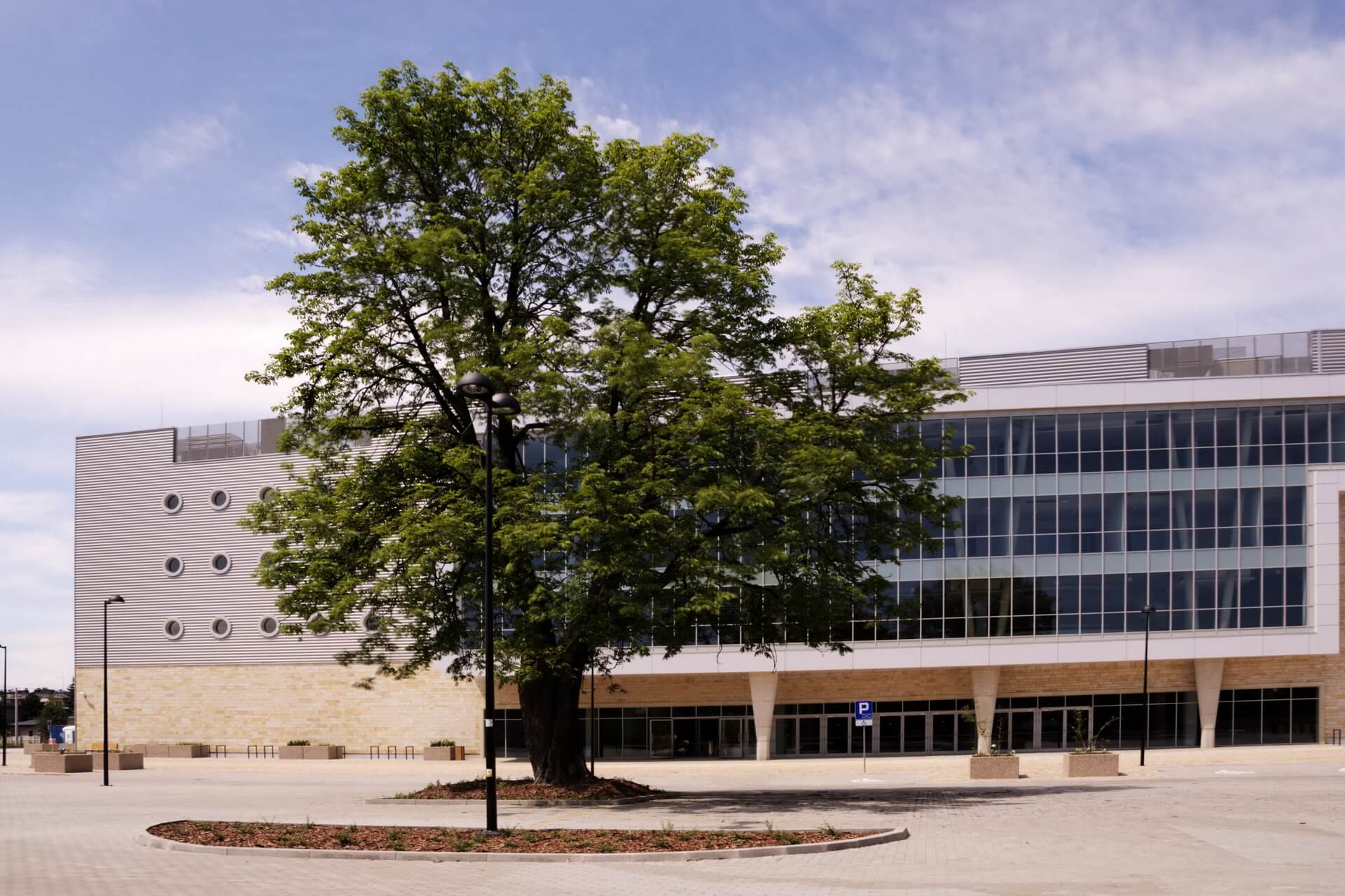 Hala w Częstochowie 12