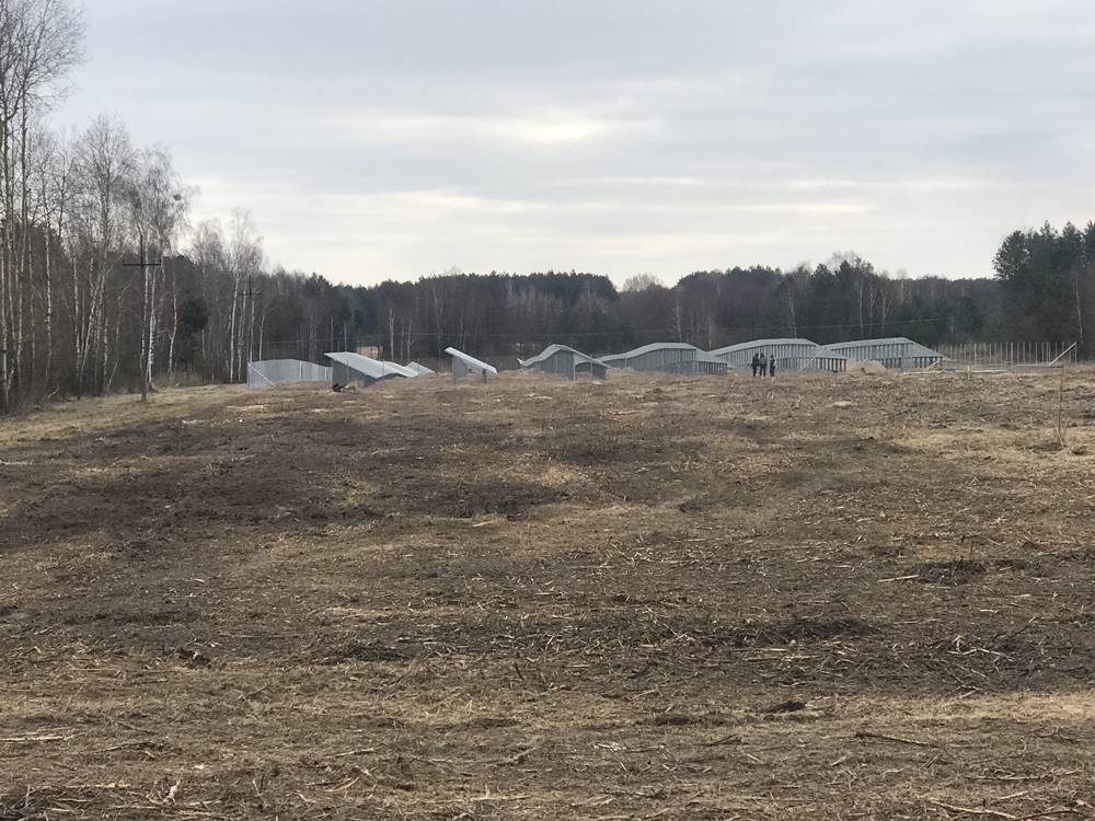 Farma fotowoltaiczna Mszanna 1